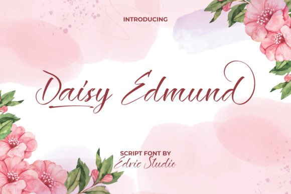 Daisy Edmund Font for Elegant Branding