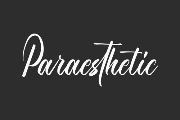 Paraesthetic Font for Creative Makers