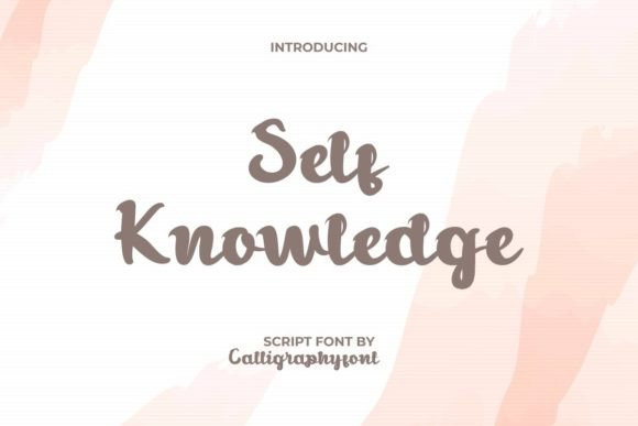 Self Knowledge Font for Business Branding