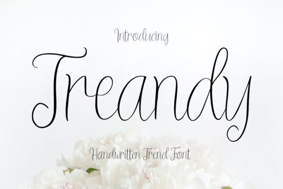 Treandy Font: Elegant Script for Business Branding