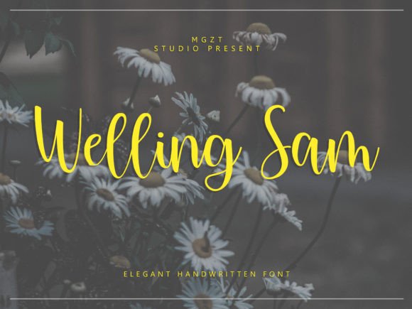 Welling Sam Font for Creative Projects